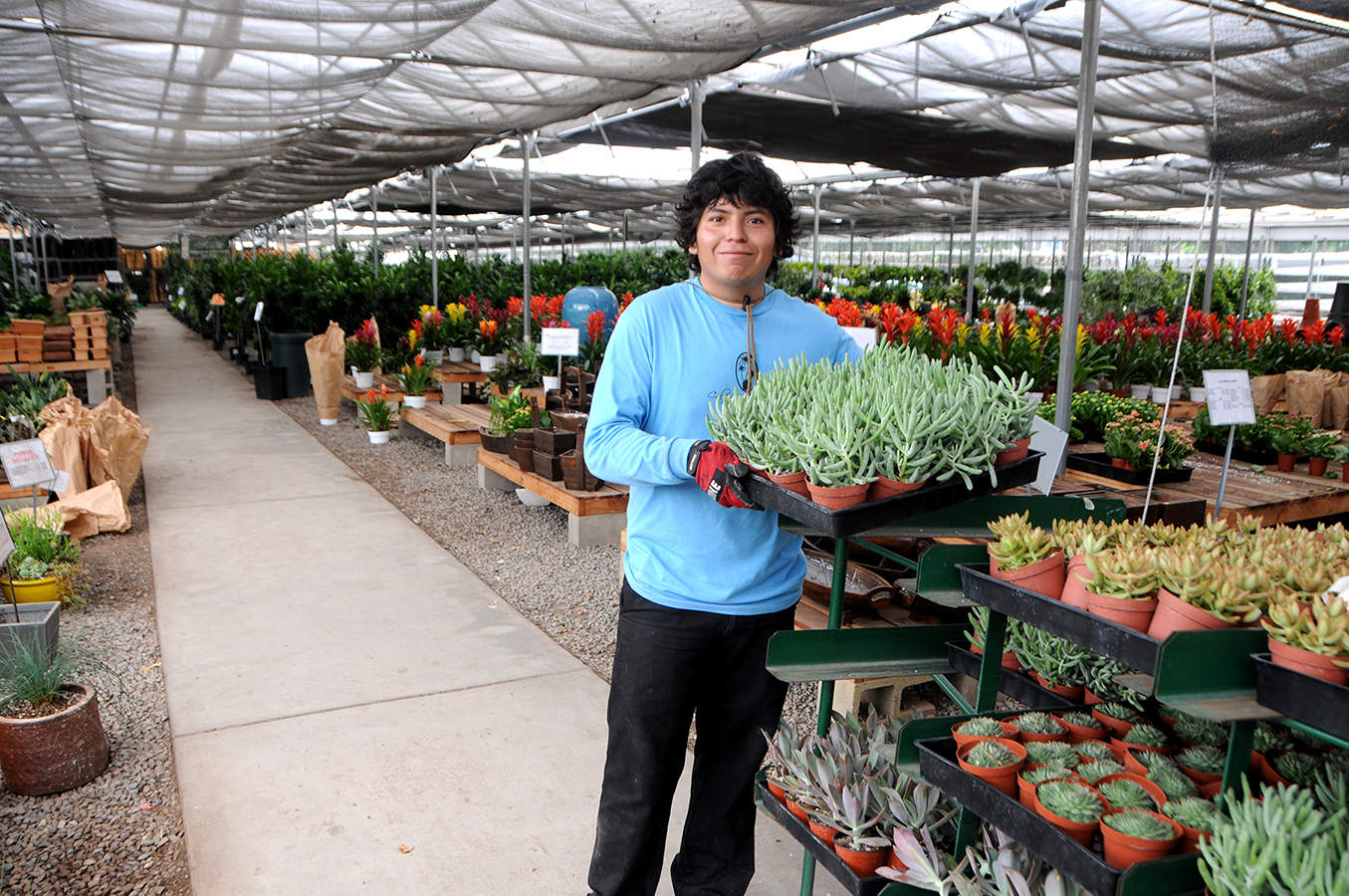 Wholesale Succulent Nursery: Orange County, Los Angeles & San Diego
