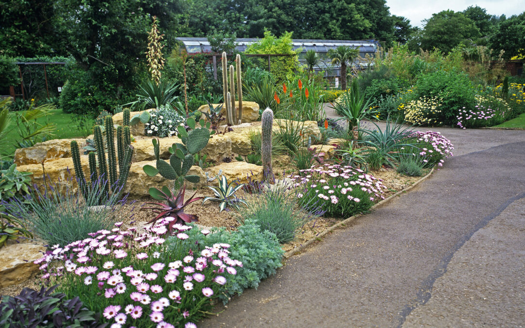Drought-Tolerant Plants And Other Water-Wise Landscape Trends