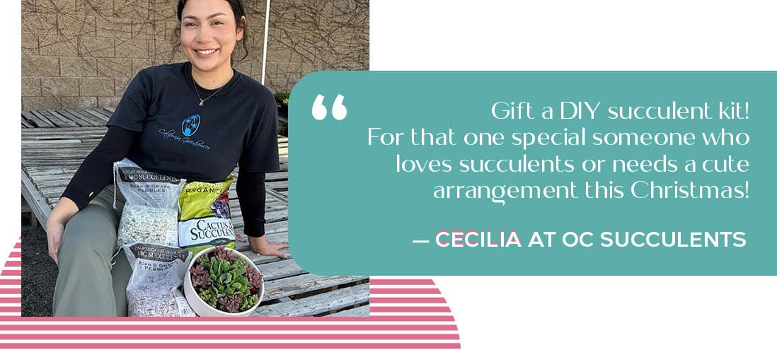 Cecilia at OC Succulents - California - gift guide