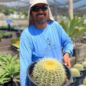 OC Succulents-California- The History of OC Succulents-barrel cactus