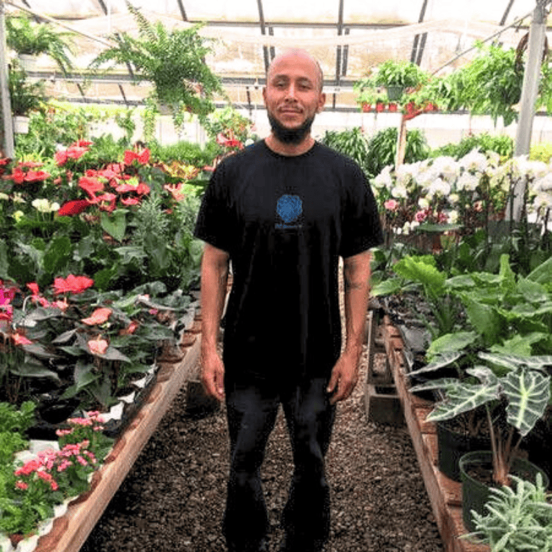 Indoor Plant Care Expert