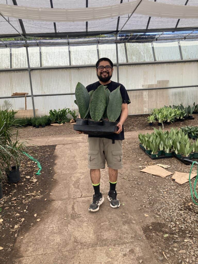 jose torres carrying a succulentus plant