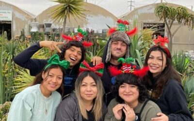 Meet the Faces Behind the Greenery: Our Indoor Plant Care Team