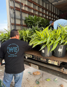 Teamwork in Plant Care