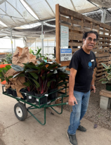 Man unloading plants