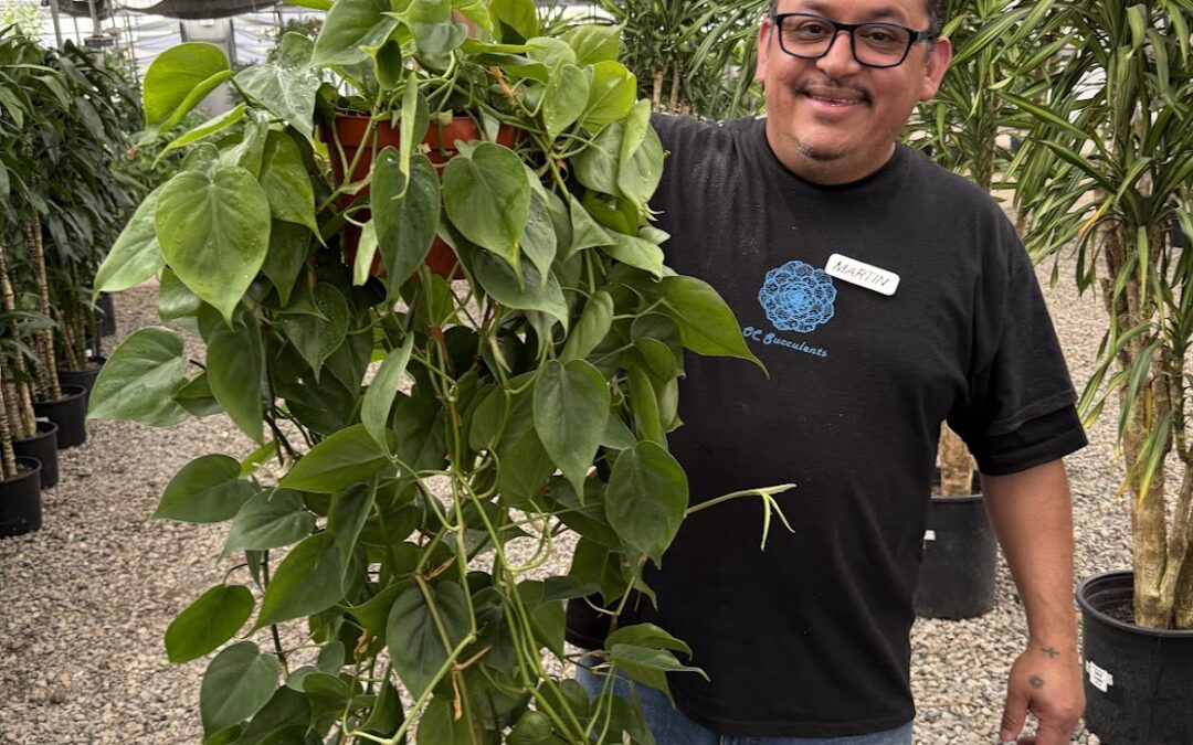 Top-Selling Plants: Employee Picks You Should Be Stocking