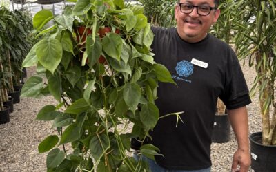 Top-Selling Plants: Employee Picks You Should Be Stocking