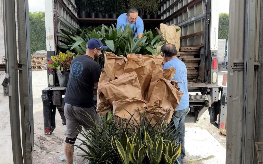 What Sets California Greenhouses Apart