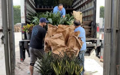 What Sets California Greenhouses Apart